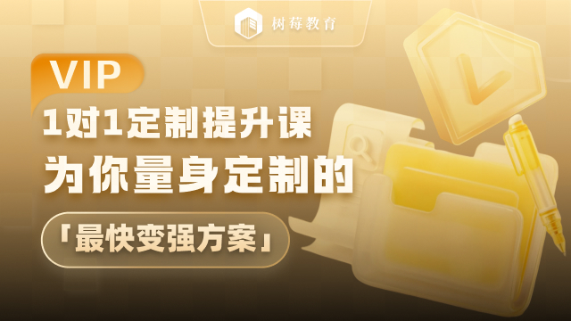 VIP：1v1诊断提升课